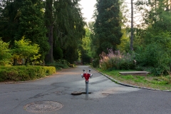 Nordfriedhof_Juli_2018#2-4235