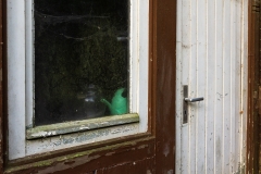 Nordfriedhof_Juli_2018#5-4043