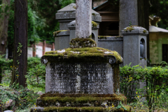 Nordfriedhof_Juni21