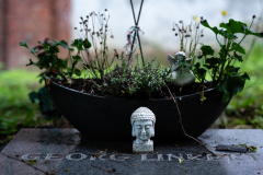 Nordfriedhof_Juni25