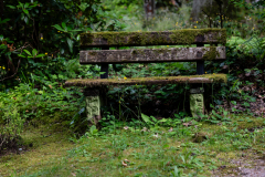 Nordfriedhof_Juni26