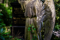 Nordfriedhof_Juni5
