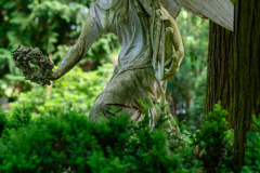 Nordfriedhof_Juni6