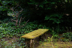 Nordfriedhof_Juni9