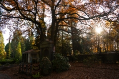 N_Nov_2015#12-2608