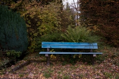 N_FriedhofOkt#19-3634