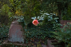 N_FriedhofOkt#31-3675