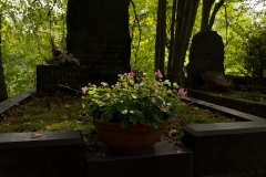 blumenschmuk-1296