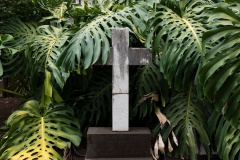 fuengfried_12-7404