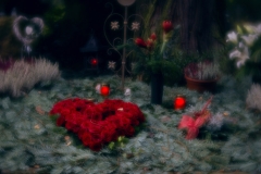 nordfriedhof_totensonntag#11-4668