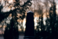 nordfriedhof_totensonntag#15-4653