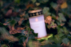 nordfriedhof_totensonntag#16-4651