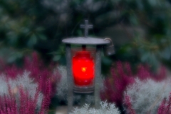 nordfriedhof_totensonntag#18-4649