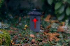 nordfriedhof_totensonntag#19-4644