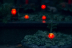 nordfriedhof_totensonntag#2-4690
