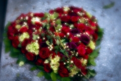 nordfriedhof_totensonntag#20-4643