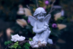nordfriedhof_totensonntag#25-4624