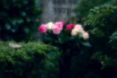 nordfriedhof_totensonntag#26-4621