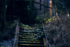 nordfriedhof_totensonntag#3-4688