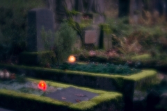 nordfriedhof_totensonntag#6-4681