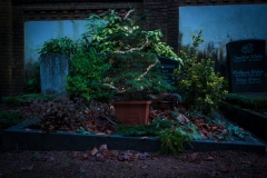 Nf_Weihnachten01-62331