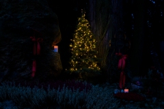 Nf_Weihnachten05-62351