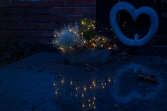 Nf_Weihnachten08-62365