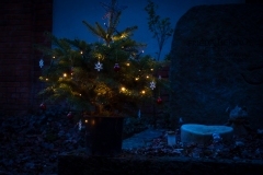 Nf_Weihnachten09-62367