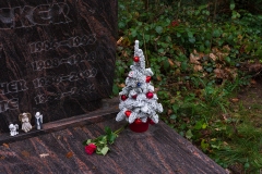 Nf_Weihnachten11-1364