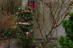 Nf_Weihnachten12-1371