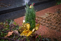 Nf_Weihnachten15-1400