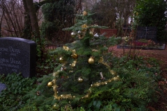 Nf_Weihnachten19-1424