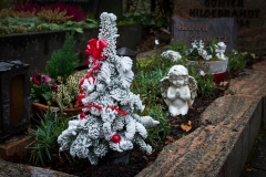 Nf_Weihnachten20-1429