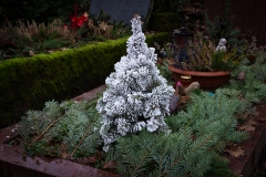 Nf_Weihnachten21-1435