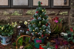 Nf_Weihnachten25-1463