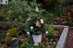 Nf_Weihnachten35-1527