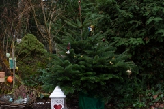 Nf_Weihnachten36-1530