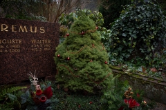 Nf_Weihnachten37-1539