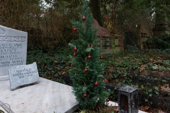 Nf_Weihnachten38-1545
