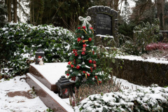 Nordfriedhof_Dezember_2232